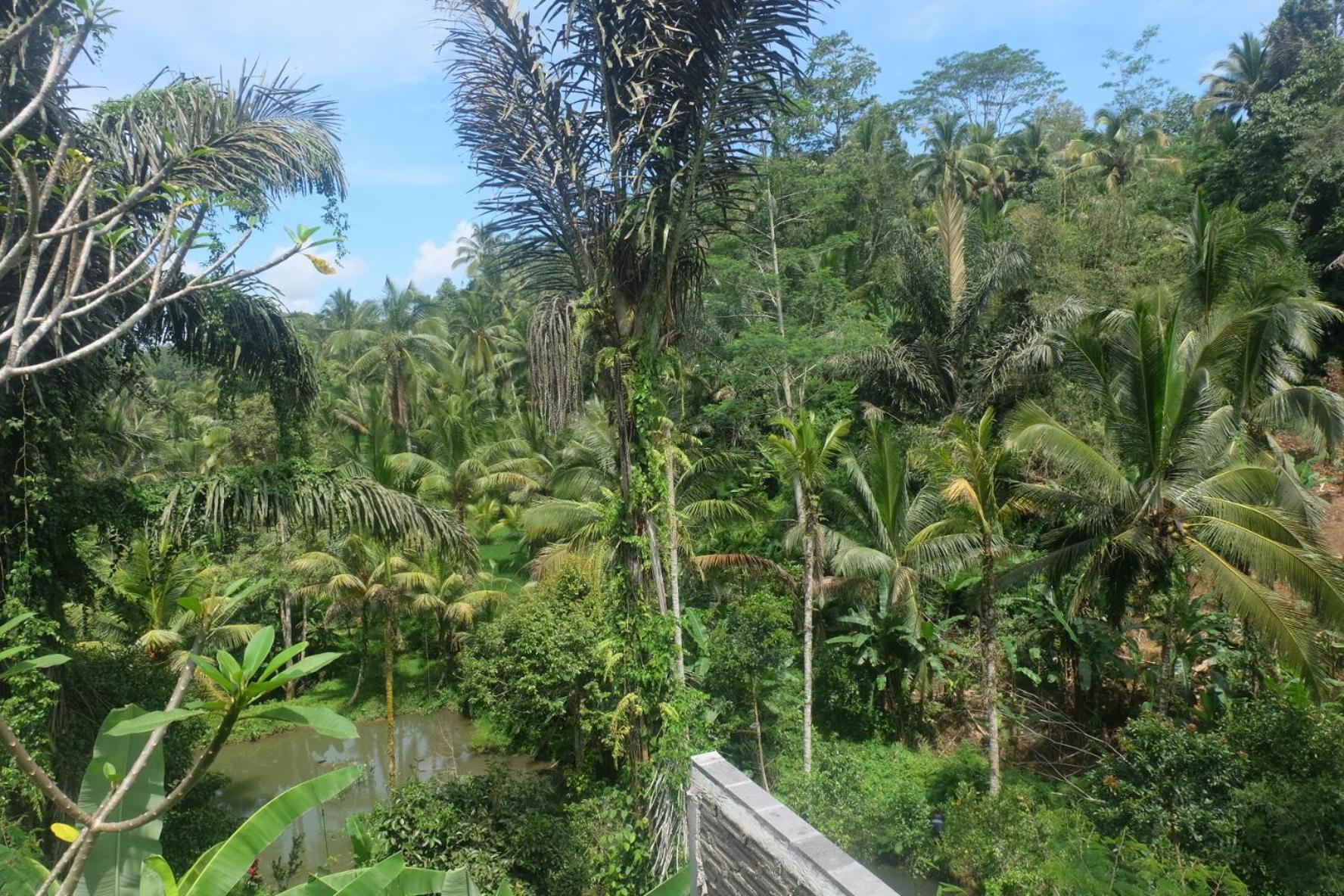 Gunung Kawi House Villa Tegallalang  Ngoại thất bức ảnh