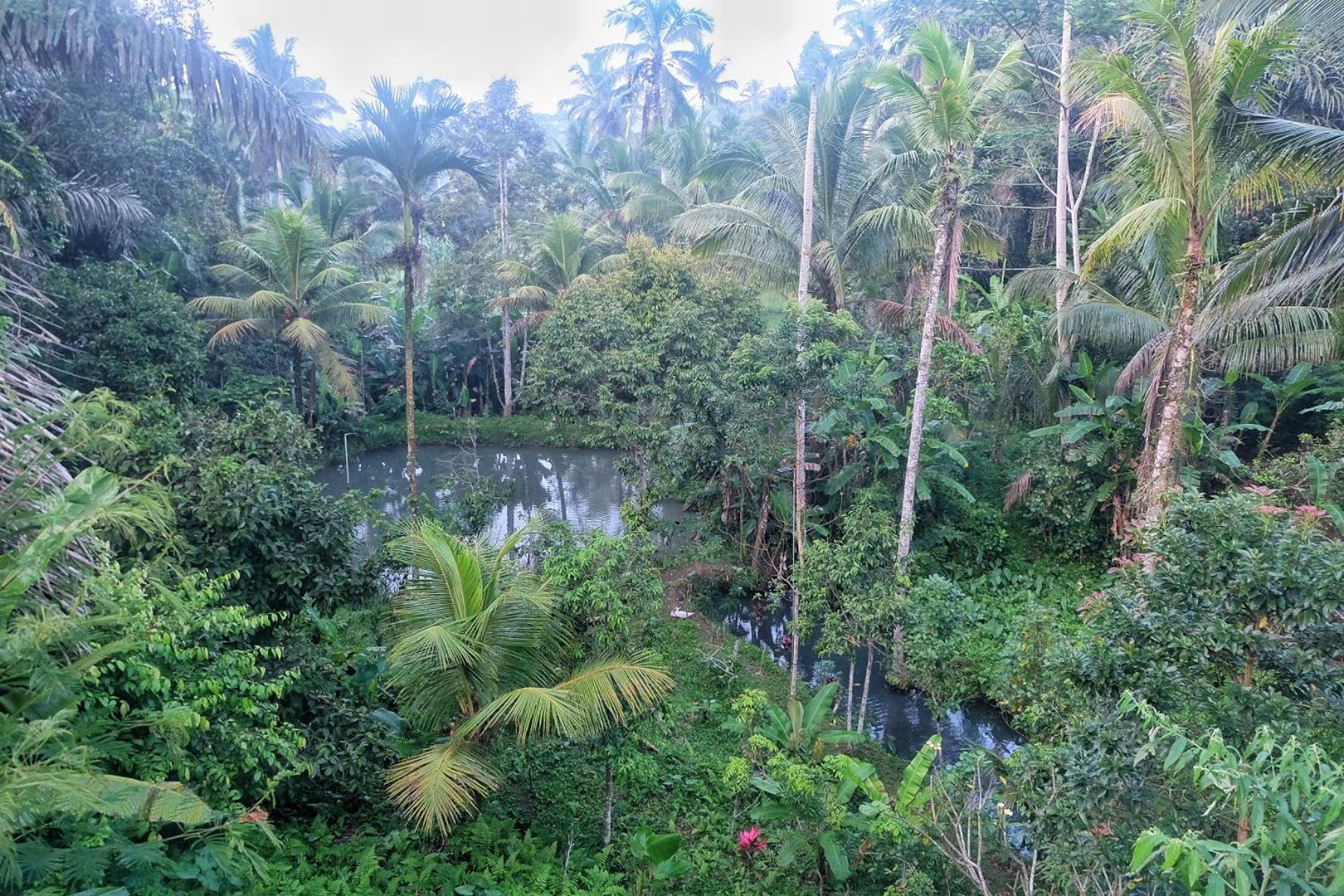Gunung Kawi House Villa Tegallalang  Ngoại thất bức ảnh